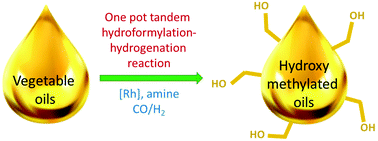 Graphical Abstract